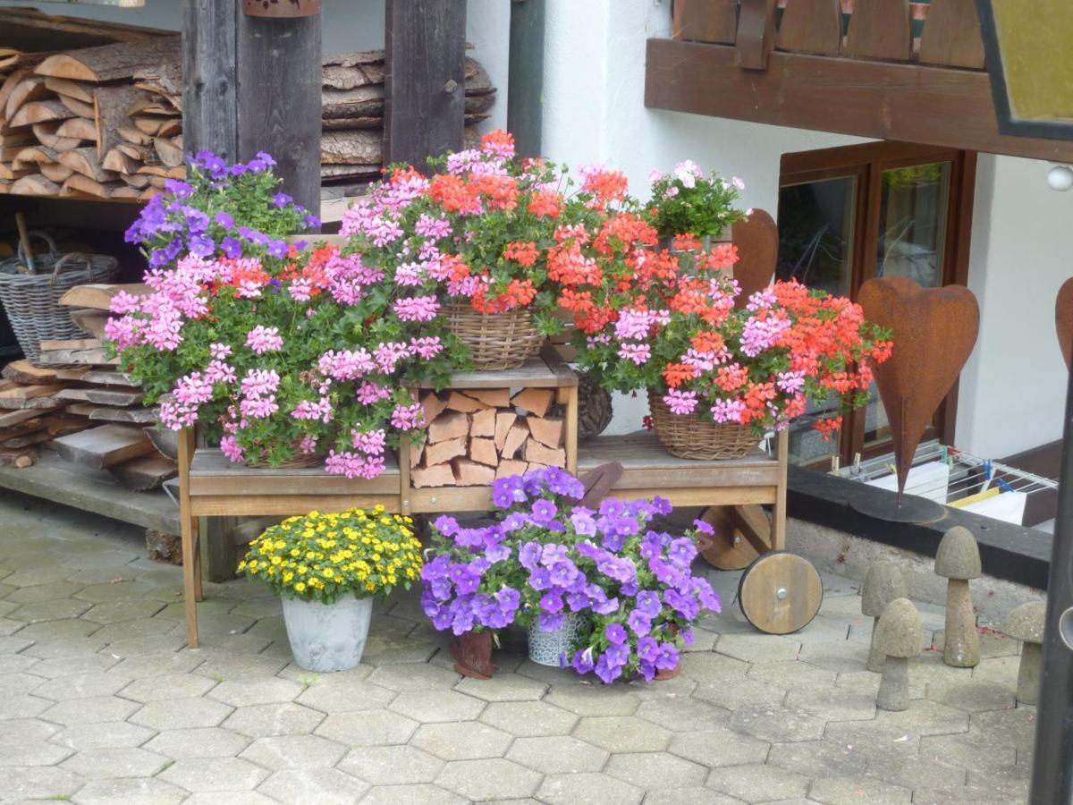 Ferienwohnung Hartmann Obermaiselstein Εξωτερικό φωτογραφία